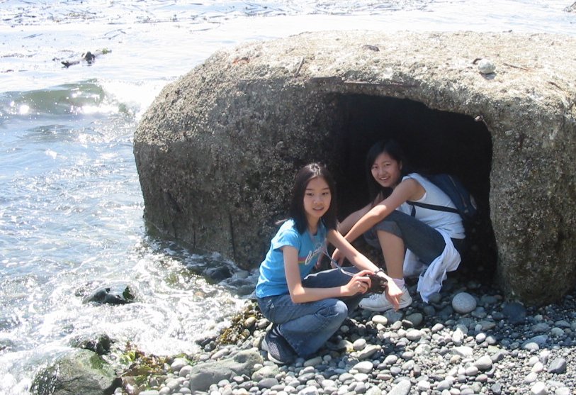 Beach 29.jpg